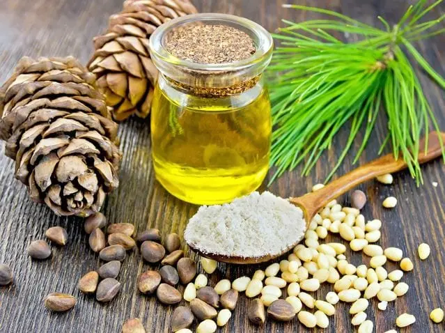 Cedar nut oil &#8211; description of the oil. Health benefits and harms