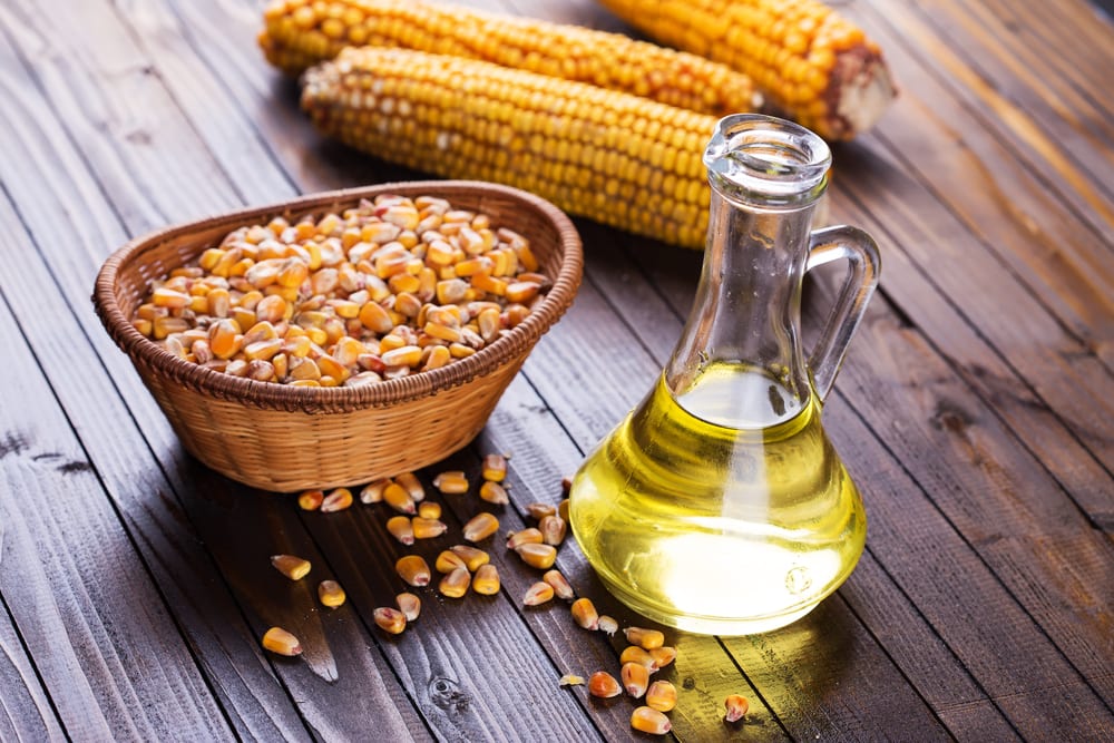Corn oil &#8211; oil description. Health benefits and harms