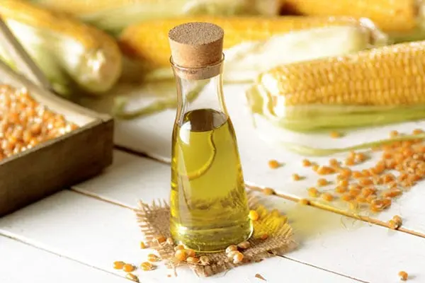 Corn oil &#8211; oil description. Health benefits and harms