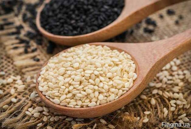 Sesame &#8211; calorie content and chemical composition