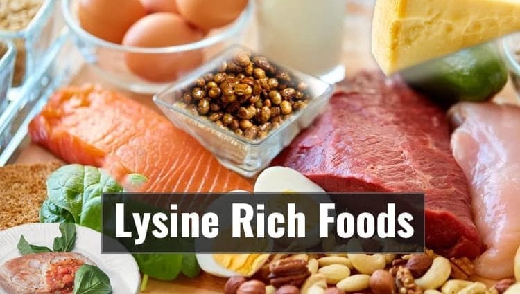 Lysine in foods (table)