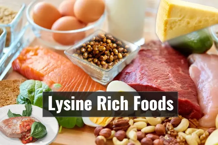 Lysine in foods (table)