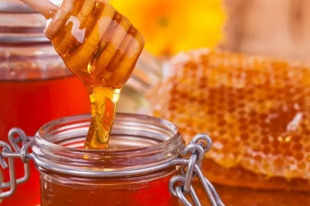 Honey &#8211; description of a food product. Health benefits and harms