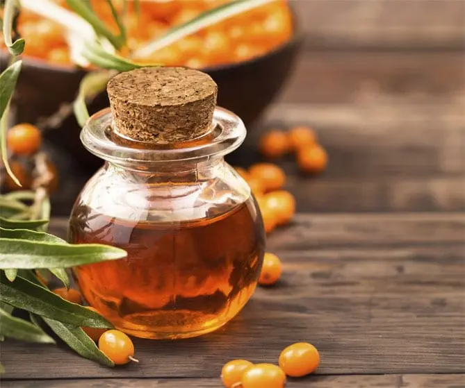 Sea buckthorn oil &#8211; description of the oil. Health benefits and harms