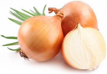 Onion &#8211; calorie content and chemical composition