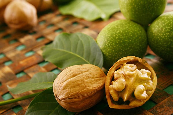 Walnuts &#8211; description of the nut. Health benefits and harms