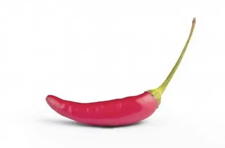 Chili pepper &#8211; description of the spice. Health benefits and harms