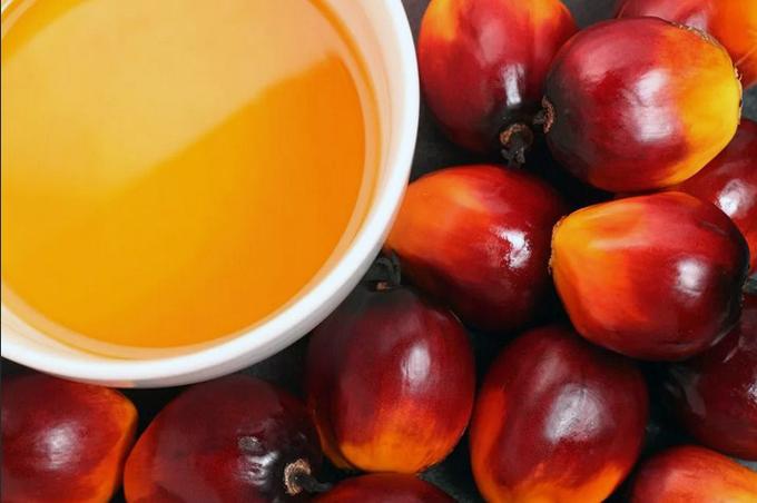 Palm oil &#8211; oil description. Health benefits and harms