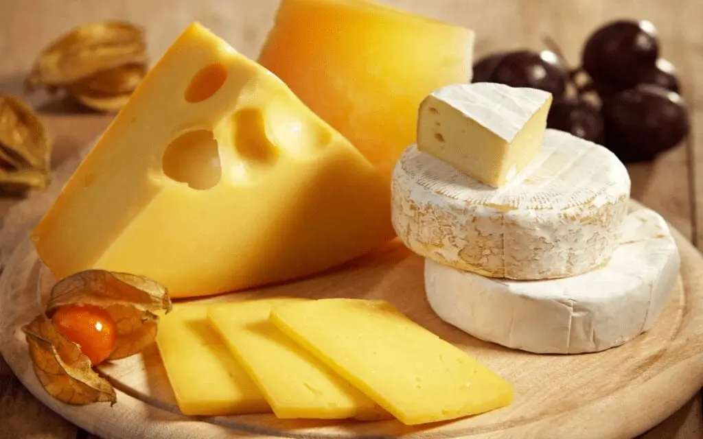 Cheese &#8211; product description. 40 most popular types of cheese