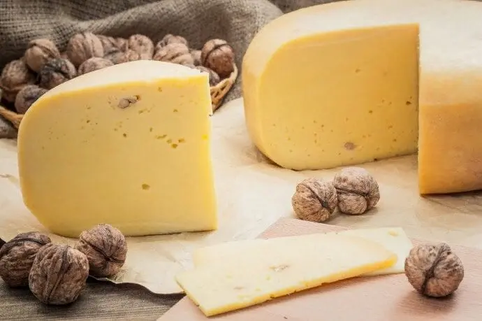 Cheese &#8211; product description. 40 most popular types of cheese