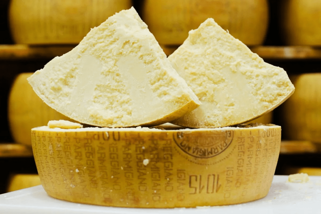 Cheese &#8211; product description. 40 most popular types of cheese