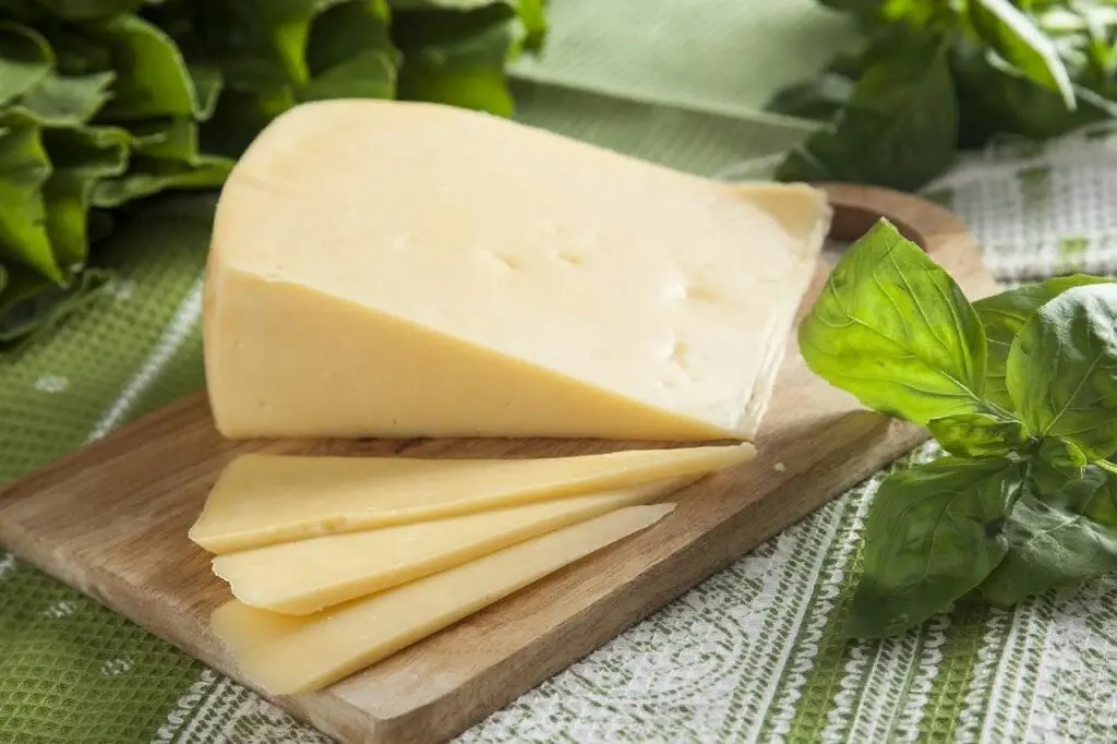 Cheese &#8211; product description. 40 most popular types of cheese