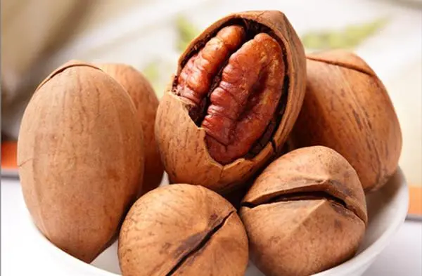 Pecan &#8211; description of the nut. Health benefits and harms