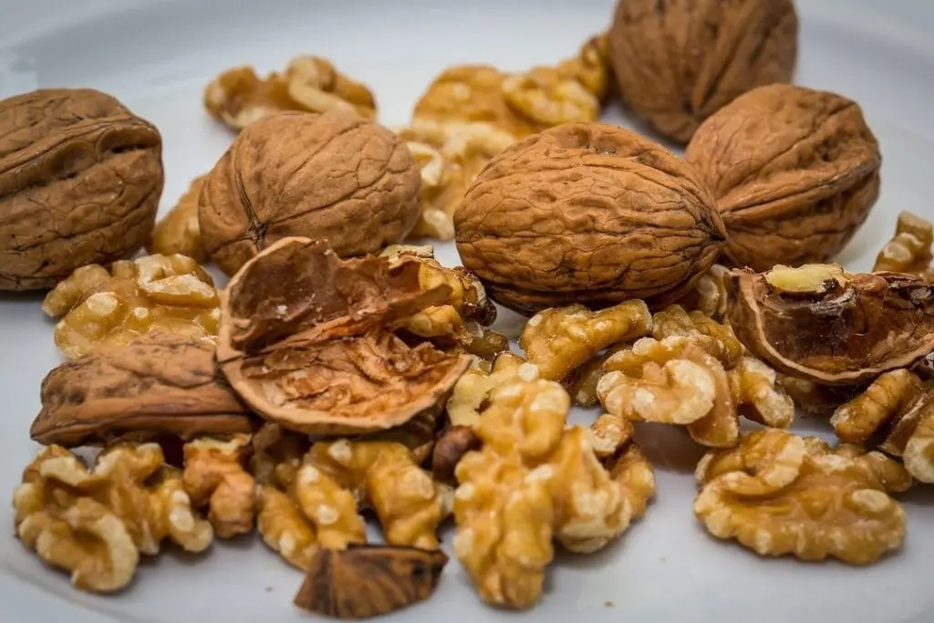 Walnuts &#8211; description of the nut. Health benefits and harms