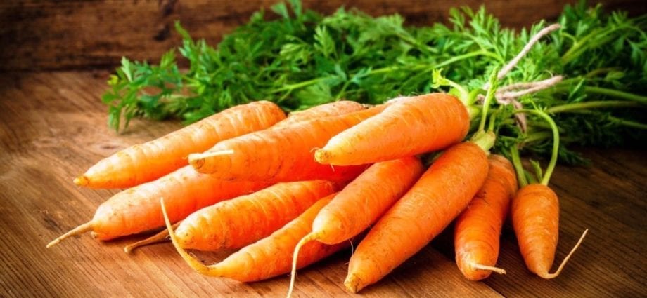 Carrot &#8211; calorie content and chemical composition