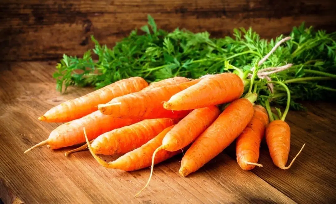 Carrot &#8211; calorie content and chemical composition