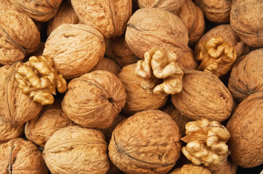 Walnut the calorie content and chemical composition