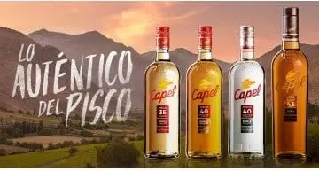 Pisco