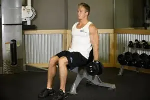 the Lifting of the dumbbells on a biceps, sitting