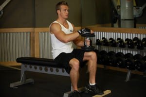 the donkey raises with dumbbells sitting