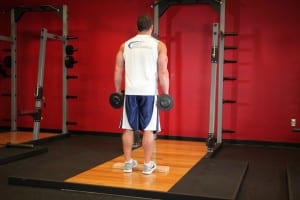 the donkey raises with dumbbells standing up