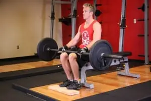 the donkey raises with a barbell sitting