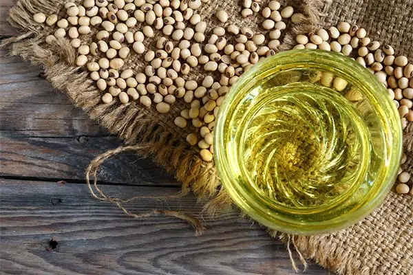 Soybean oil &#8211; oil description. Health benefits and harms