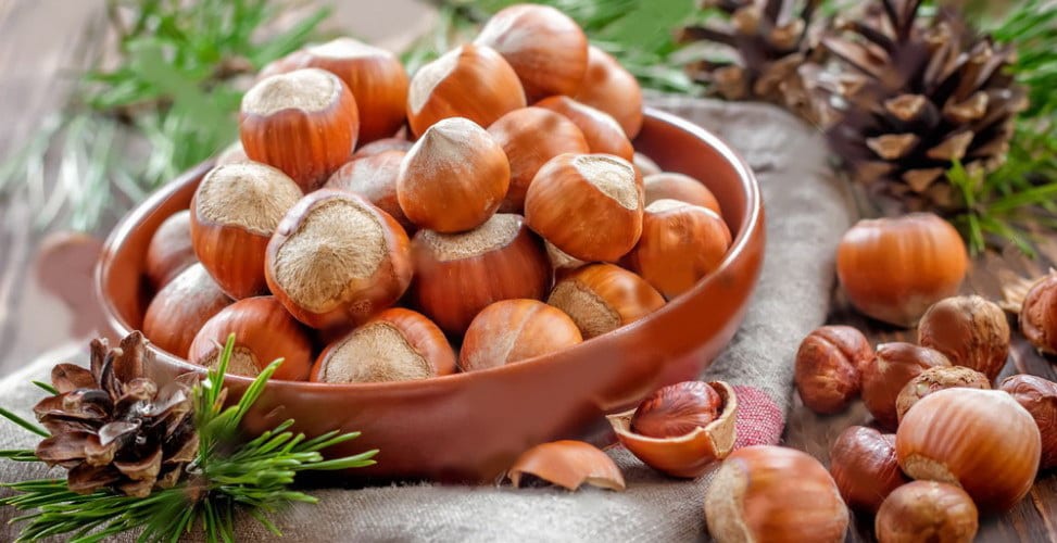 Hazelnut &#8211; a description of the nut. Health benefits and harms