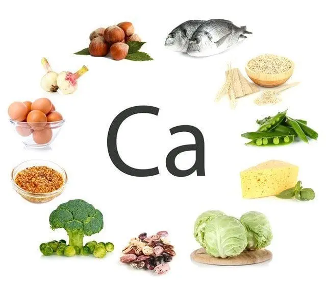 Table of calcium content in foods