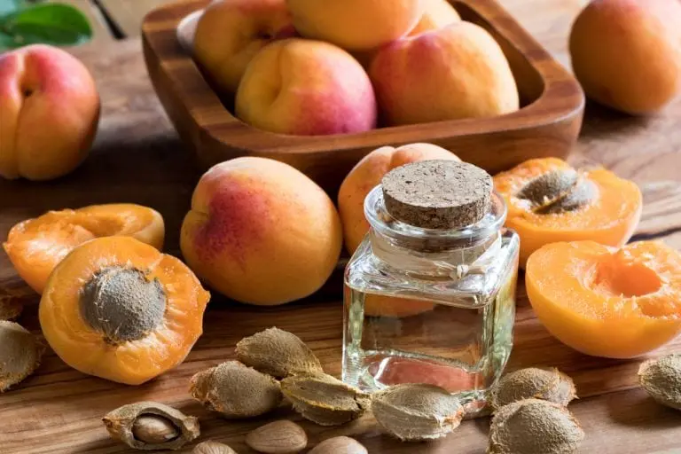 Apricot kernel oil &#8211; description of the oil. Health benefits and harms