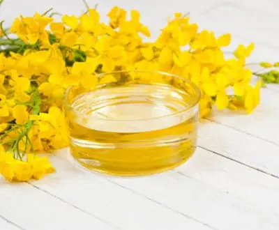 Rapeseed oil &#8211; oil description. Health benefits and harms