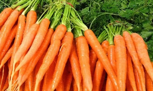 Zanahorias crudas: contenido calórico y composición química