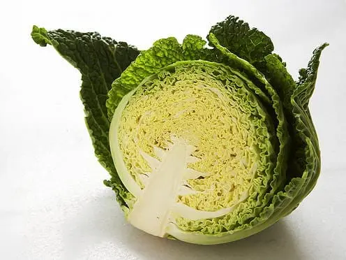 Savoy Cabbage &#8211; calorie content and chemical composition