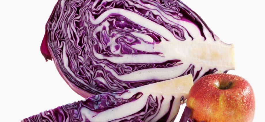 Cabbage red &#8211; calorie content and chemical composition
