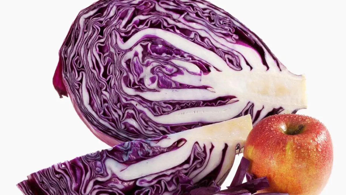 Cabbage red &#8211; calorie content and chemical composition