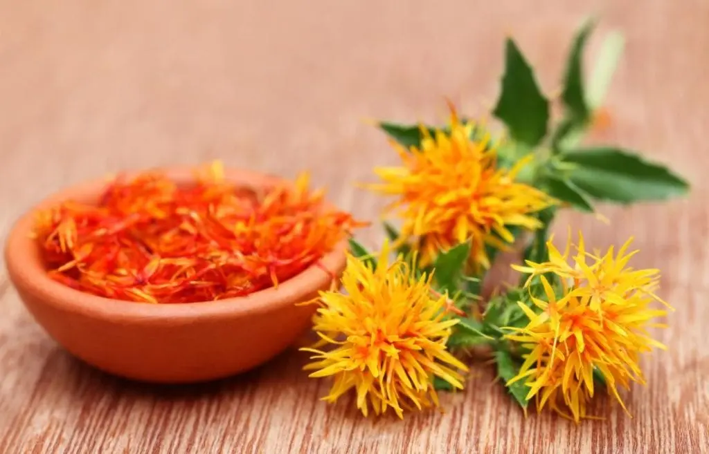 Safflower oil &#8211; a description of the oil. Health benefits and harms