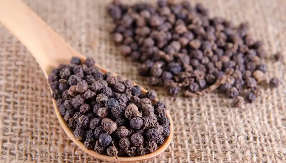 Black pepper &#8211; description of the spice. Health benefits and harms