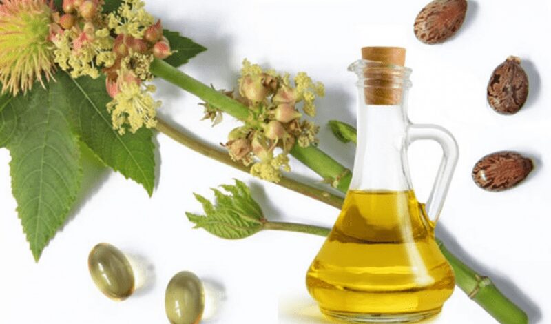Pecan oil &#8211; description of the oil. Health benefits and harms
