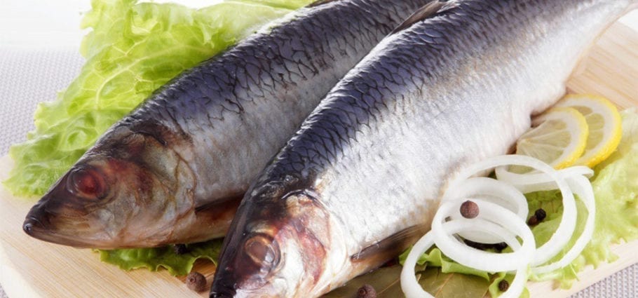 Herring &#8211; calorie content and chemical composition
