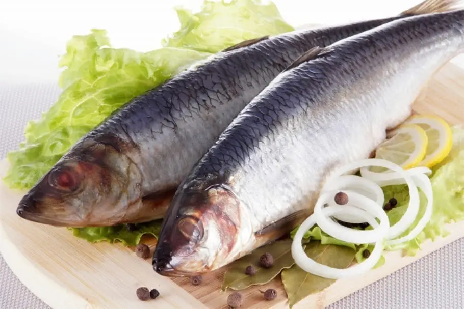 Herring &#8211; calorie content and chemical composition