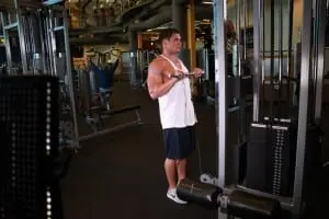 the Bending of the arms at the biceps on the lower unit reverse grip