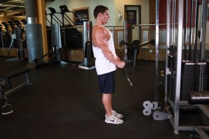 the Bending of the arms at the biceps on the lower block with a rope handle
