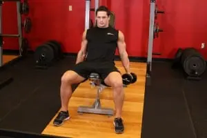 Bending of hands with dumbbells on a biceps on incline bench