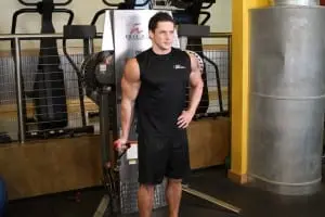 the Bending of the arms at the biceps on the lower block while standing