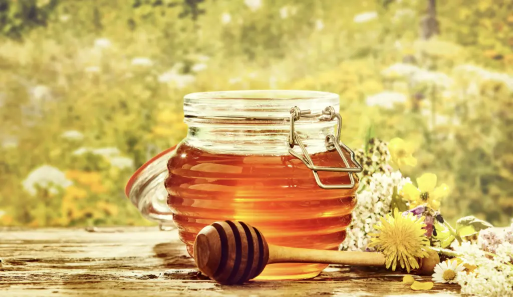 Types of Honey. Features and description of honey types