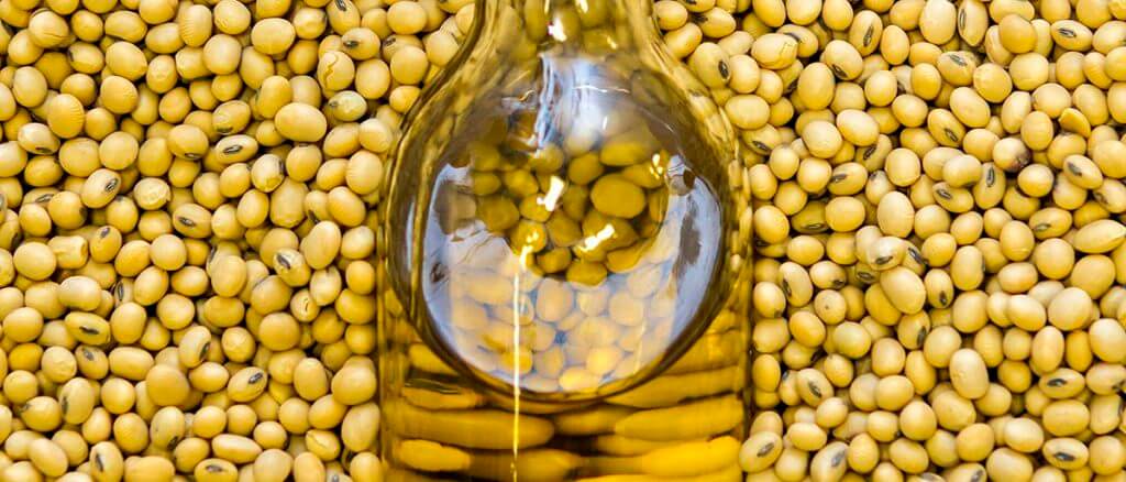 Soybean oil &#8211; oil description. Health benefits and harms