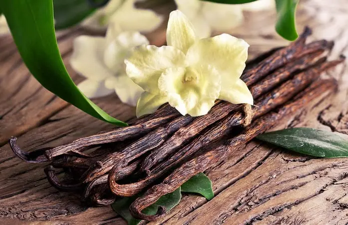 Vanilla &#8211; description of the spice. Health benefits and harms