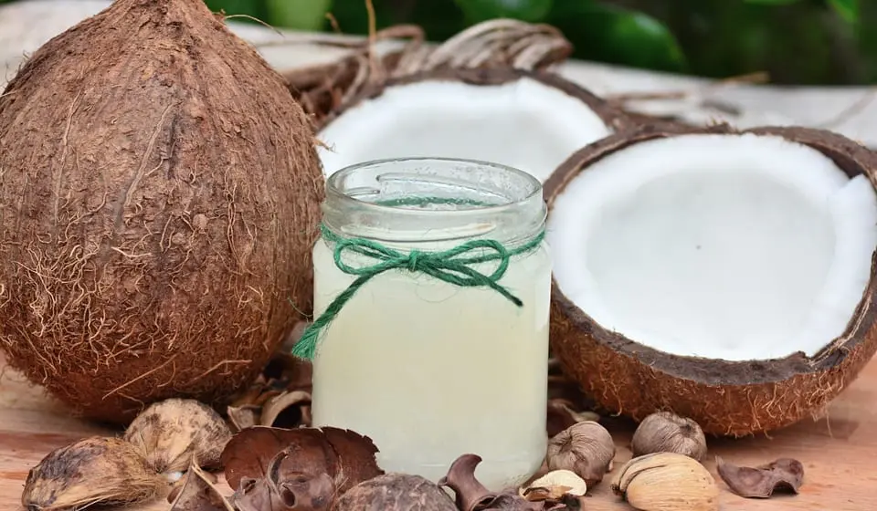 Coconut oil &#8211; description of the oil. Health benefits and harms