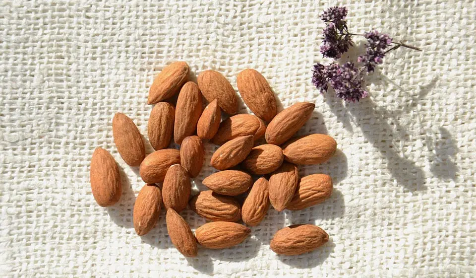 Almonds &#8211; calorie content and chemical composition