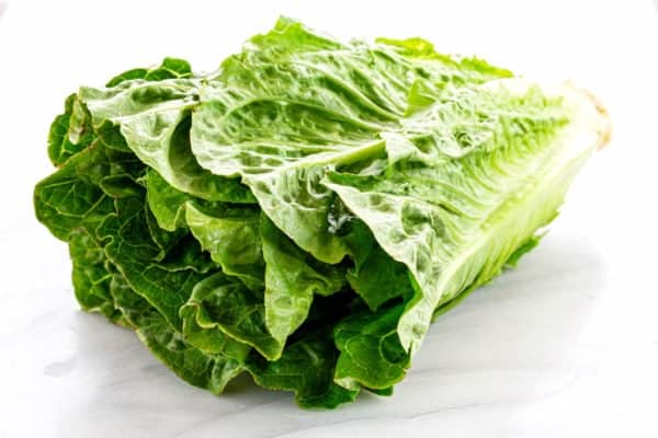 Leituga (verduras): contido en calorías e composición química